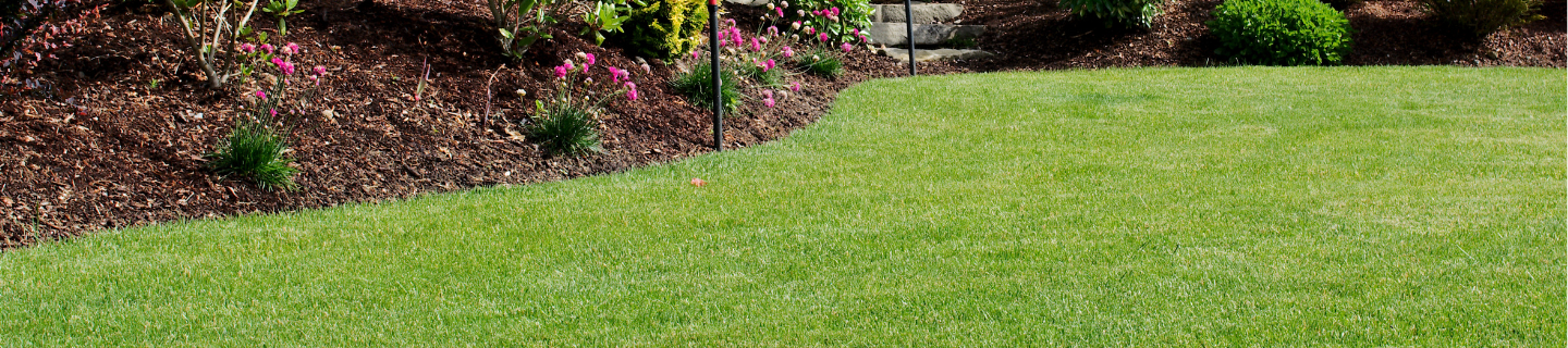 Ako na krásny nový trávnik