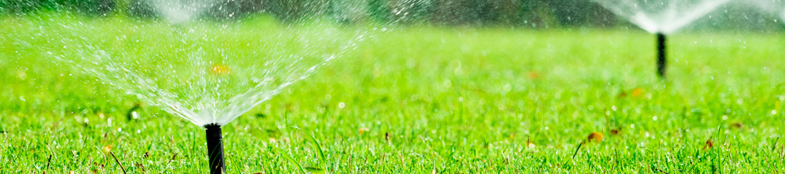 Ako založiť trávnik? Časť 1. – Typy trávnikov