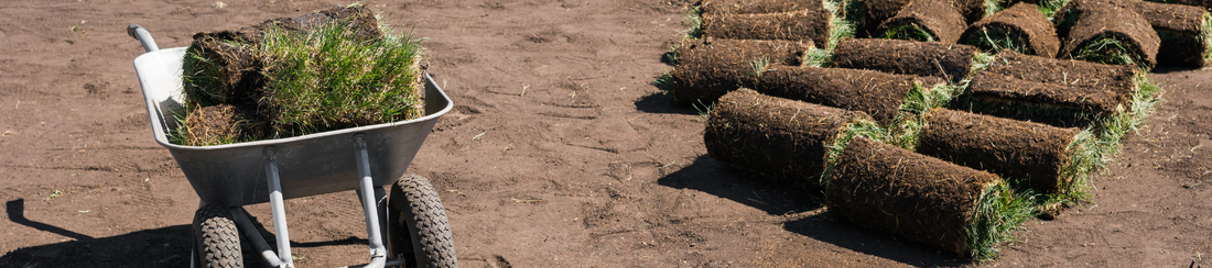 Ako založiť trávnik? Časť 3. – Založenie trávnika pokládkou kobercového trávnika