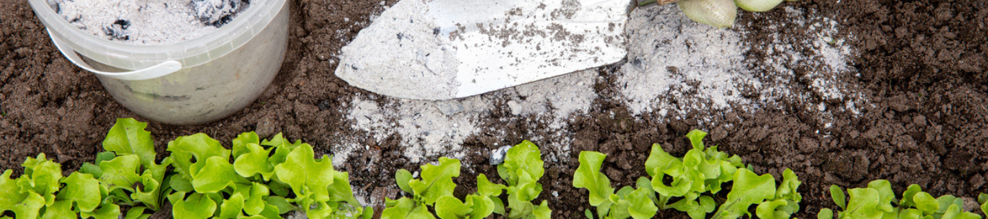 Rôzne využitia drevného popola v záhrade