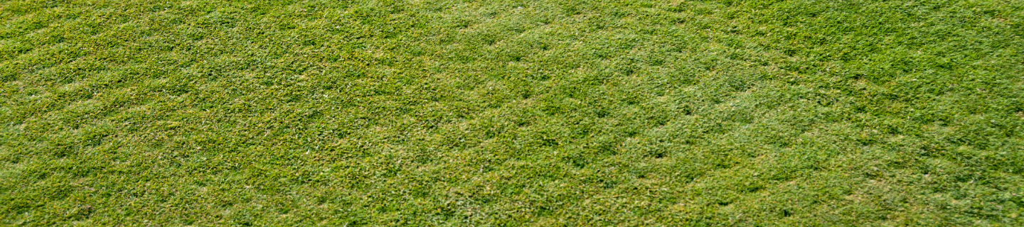 Prevzdušnenie trávnika: Prečo je dôležité a ako pri ňom postupovať?