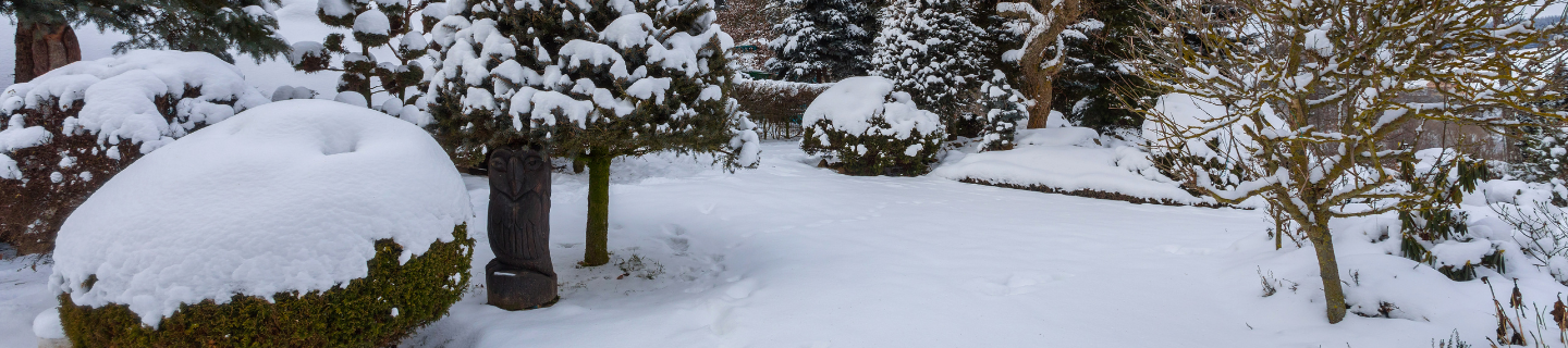 Ako sa vysporiadať s nečakanou nádielkou snehu