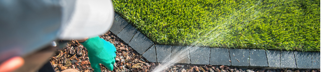 Ako spoľahlivo zahustiť trávnik? Praktické rady a tipy