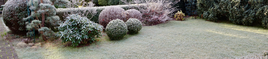 Starostlivosť o trávnik: Jeseň a zima
