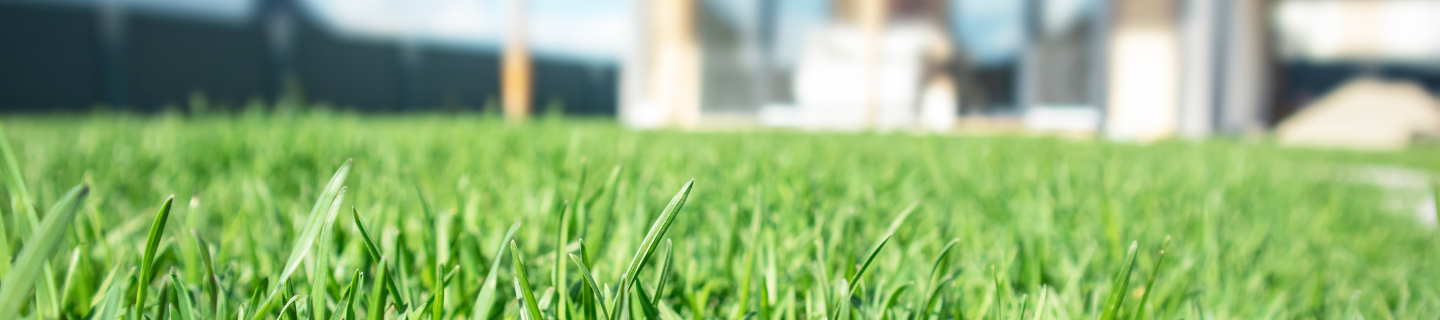 Starostlivosť o trávnik na jar: Ako ho prebrať späť k životu?