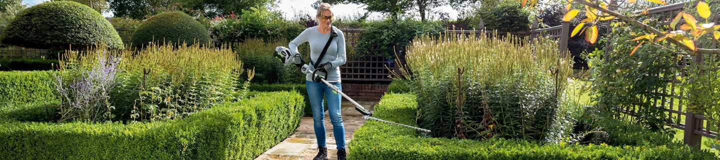 Výber rastlín pre živý plot