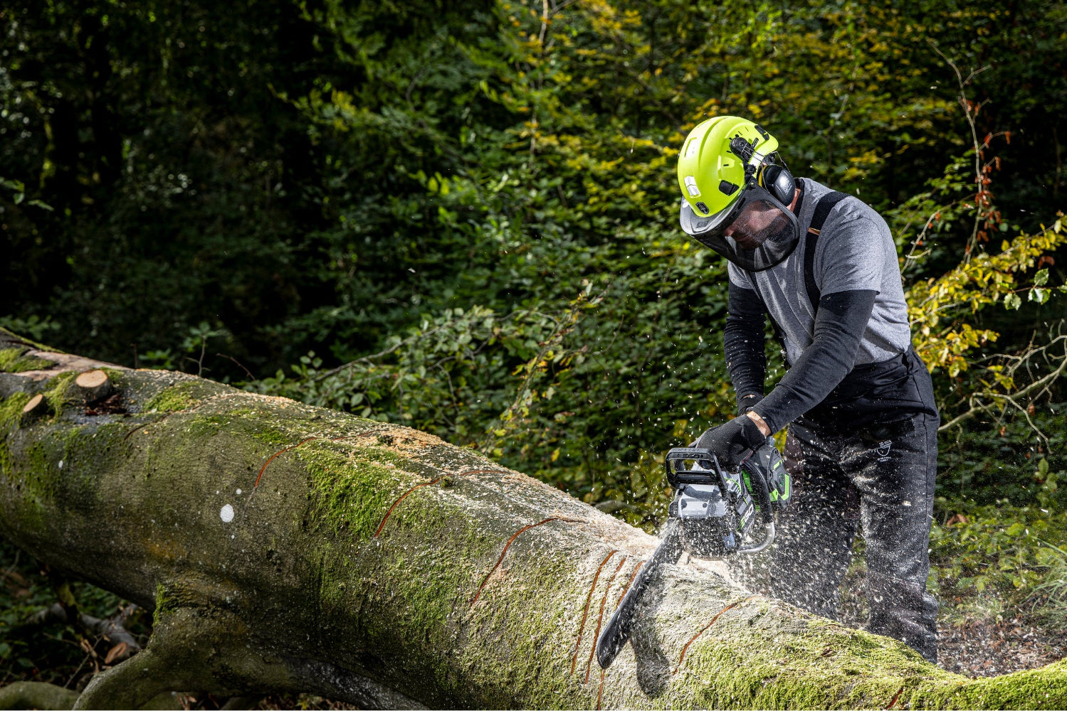 EGO Power+ CSX5000 vysoko výkonná profesionálna aku reťazová píla PRO X