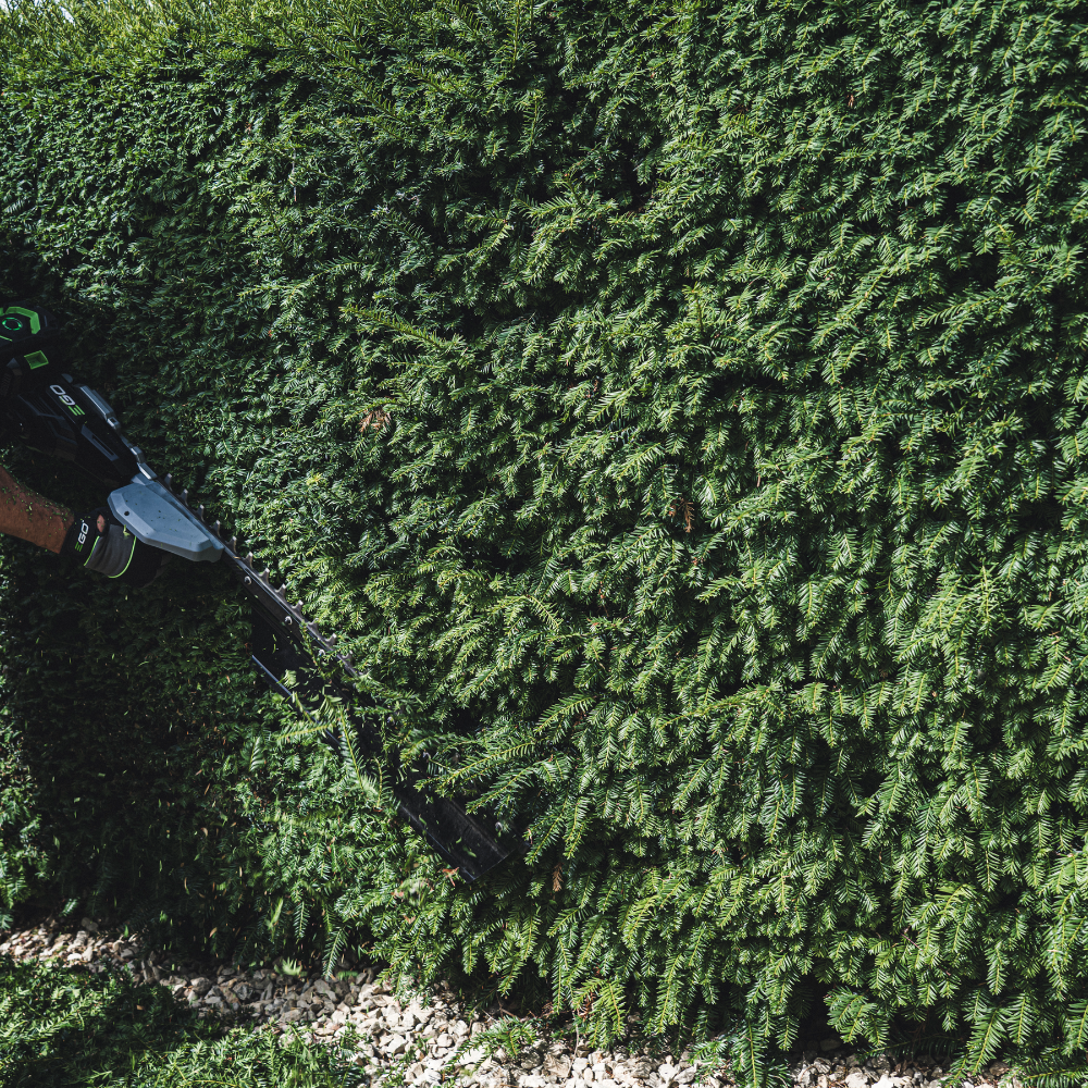 EGO Power+ HTX7500S PRO X 75 cm profesionálny krátky plotostrih / nožnice na živý plot pre maximálnu kontrolu