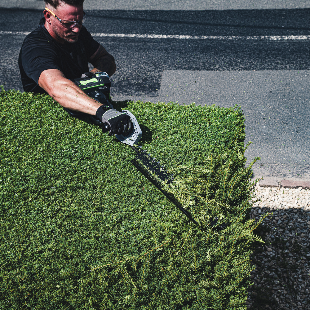 EGO Power+ HTX7500S PRO X 75 cm profesionálny krátky plotostrih / nožnice na živý plot pre maximálnu kontrolu