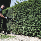 EGO Power+ HTX7500S PRO X 75 cm profesionálny krátky plotostrih / nožnice na živý plot pre maximálnu kontrolu