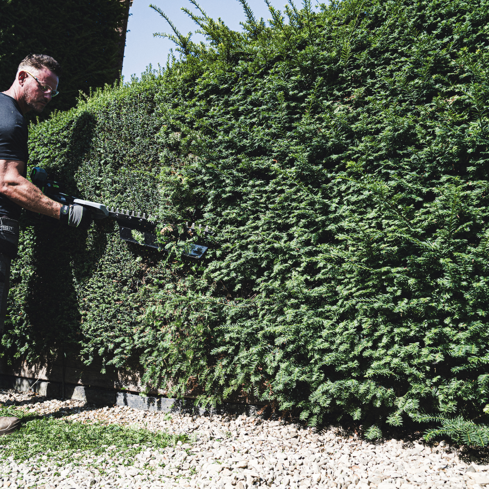 EGO Power+ HTX7500S PRO X 75 cm profesionálny krátky plotostrih / nožnice na živý plot pre maximálnu kontrolu