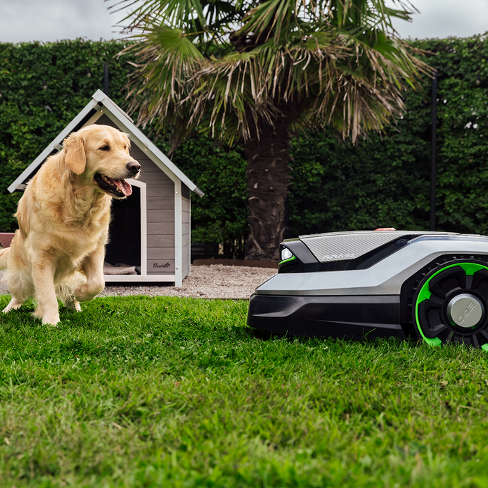 Inteligentné vyhýbanie sa prekážkam