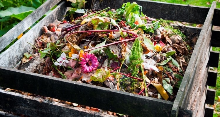 kompostovanie bioodpadu